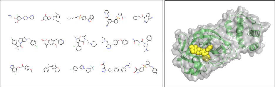 The COVID-19 Molecular Explorer helps researchers generate potential new drug candidates for COVID-19.